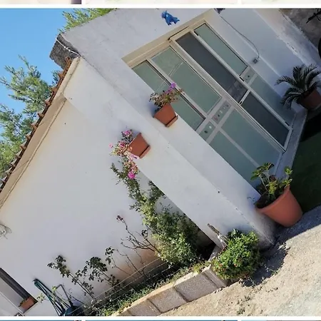 I Due Delfini Feriehus